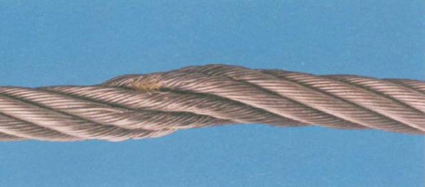 1694006142176829.jpg 7.jpg